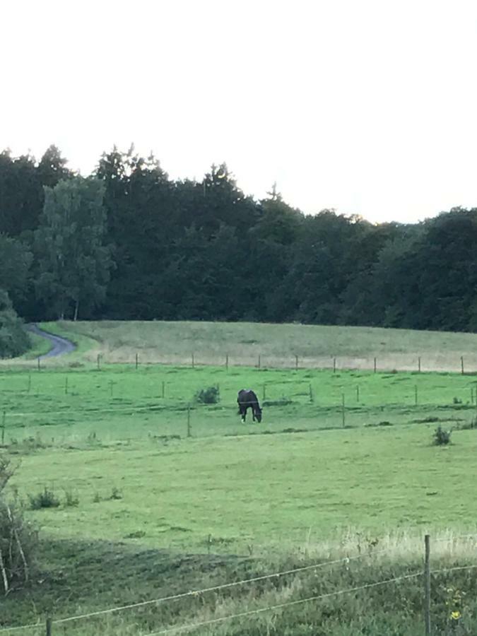 Ferienwohnung Goebel Kelberg Buitenkant foto